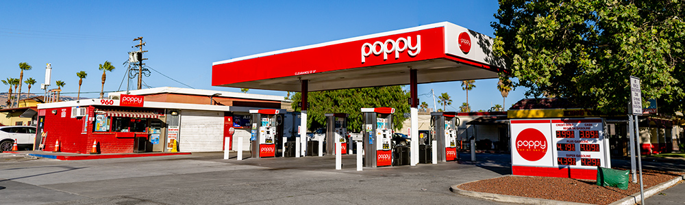 Poppy_Gallery_Header-2026